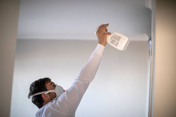Best Mold Removal and Inspection  in Cookeville, TN