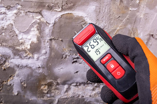 Best Mold Damage Repair  in Cookeville, TN