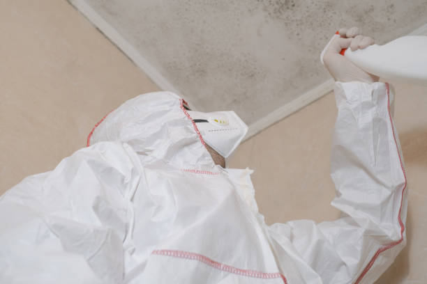 Best Mold Removal Company Near Me  in Cookeville, TN
