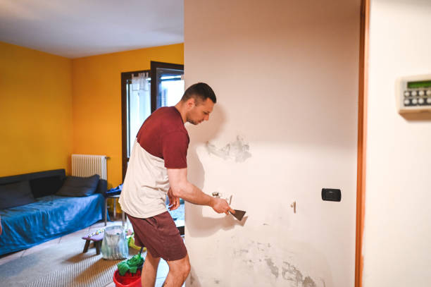 Best Residential Mold Removal  in Cookeville, TN