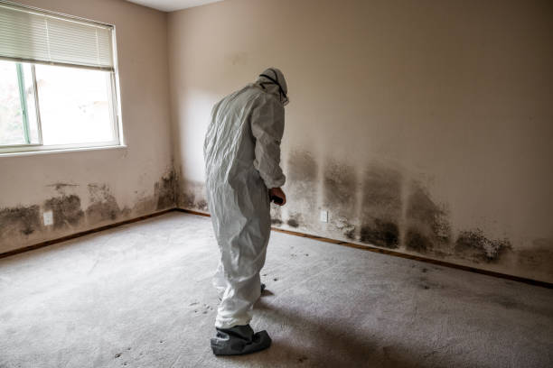 Best Mold Testing  in Cookeville, TN